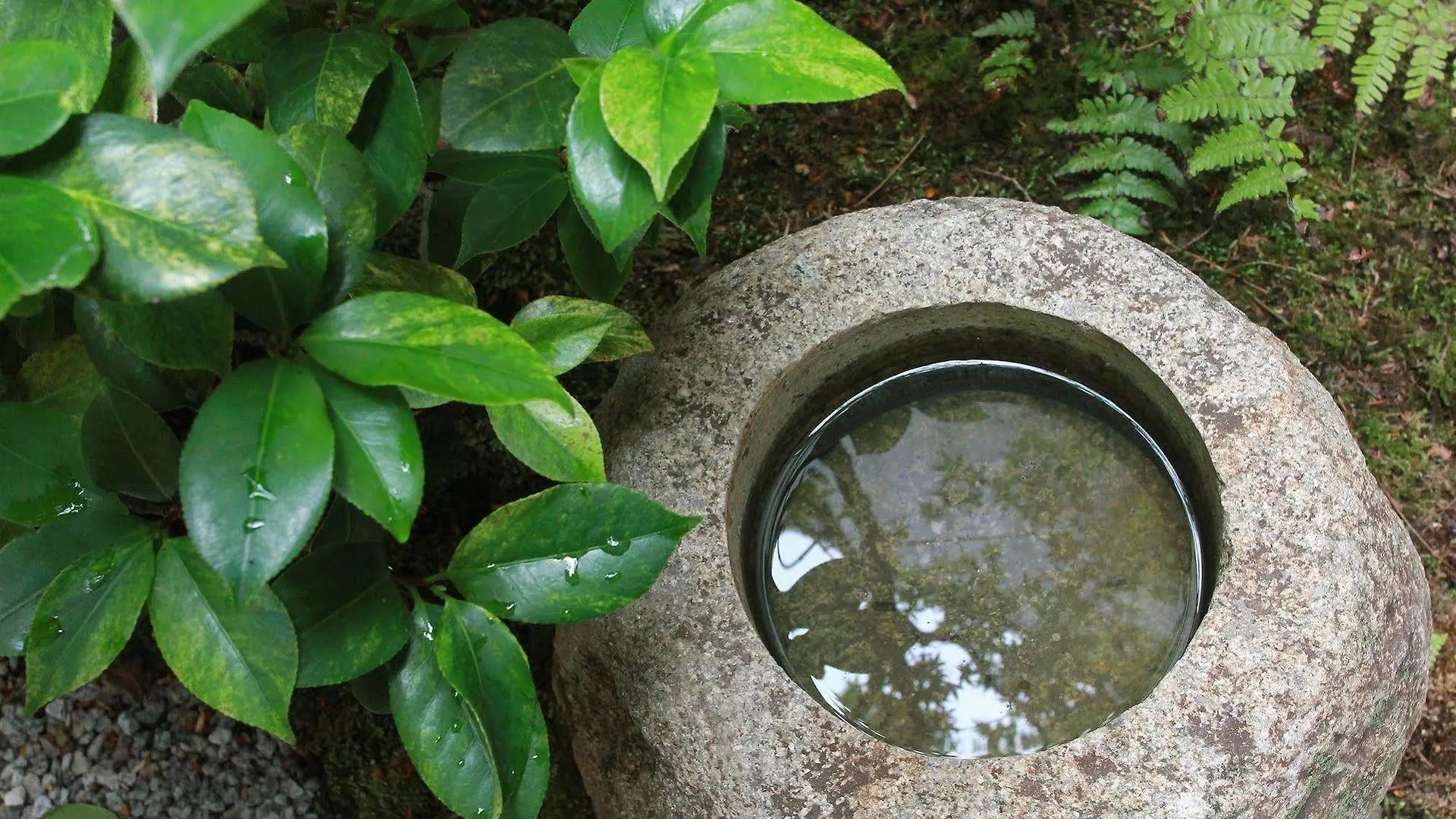 Seiji-An Machiya Residence Inn Kyoto